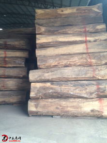 中印木材貿(mào)易新焦點(diǎn) 解讀“新貴紅木”闊葉黃檀的投資價(jià)值與市場(chǎng)前景